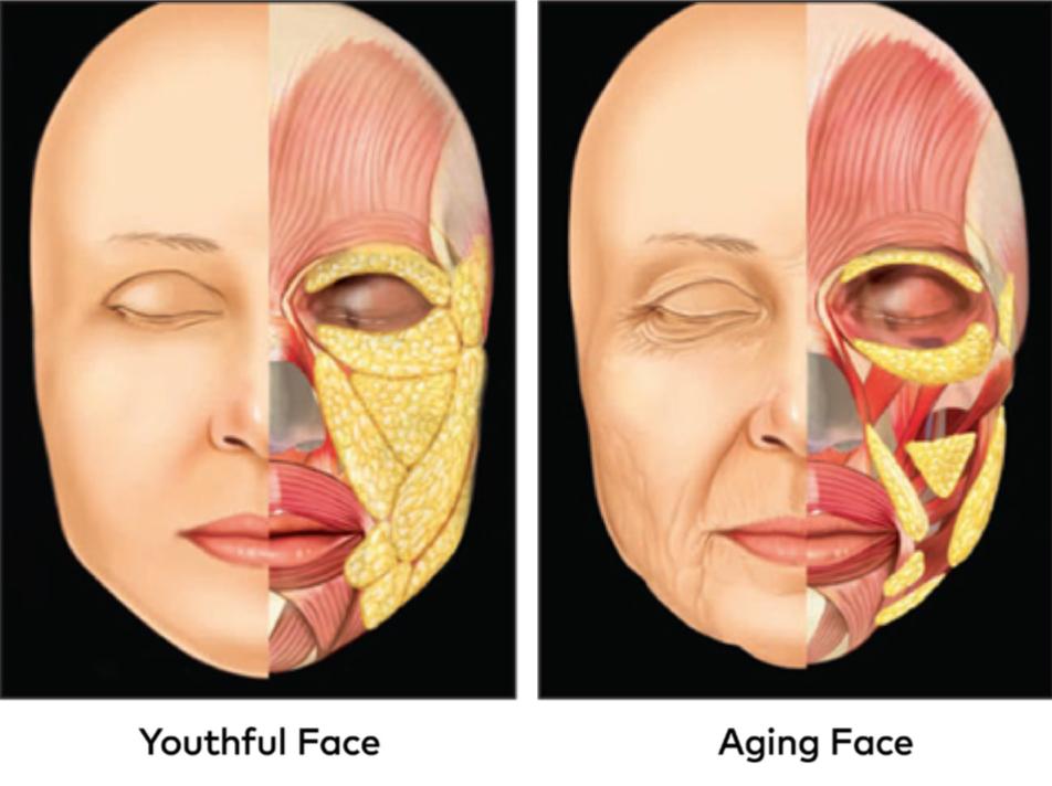 Comprehensive Anti-Aging Facial Surgery: What Is It and Who Is It For?